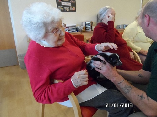 Residents with Home Safari animals