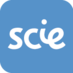 Social Care Institute of Excellence