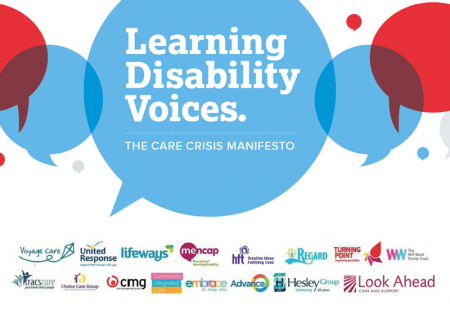 LD Voices infographic