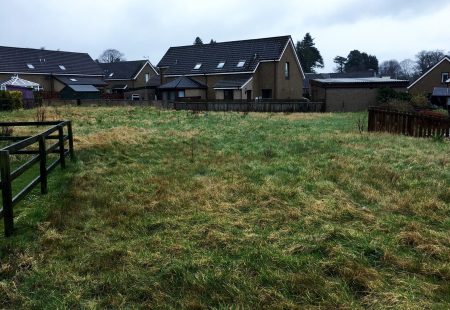 Sensory Garden March 2019