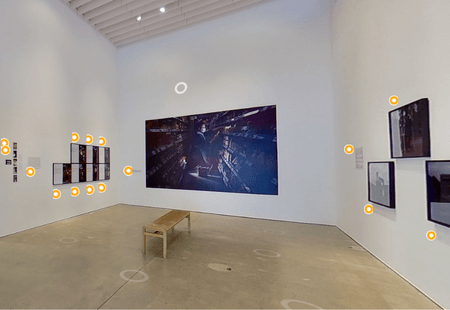 Photographs displayed in an art gallery for the VR exhibition of 'An Ecology of Care'