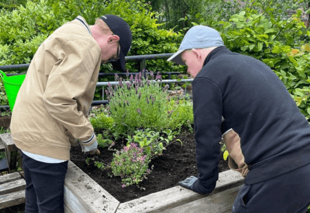 Two volunteers from Community Integrated Care planting aromatic plants in a wooden planter at Newton Community Hospital Garden